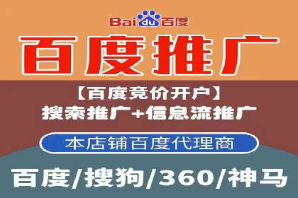 竞价排名优化策略案例分析